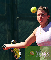 Dulgheru, out din primul tur