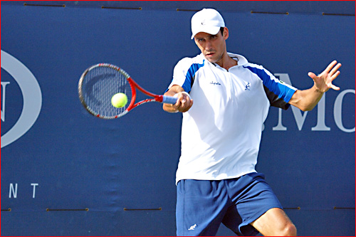 Victor Hanescu ramane 