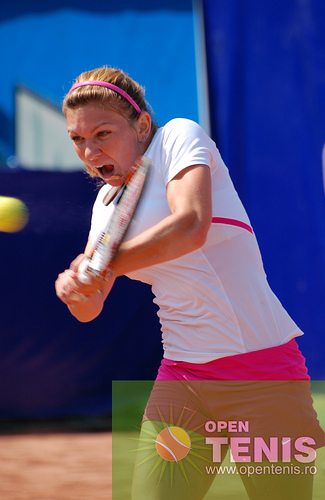Halep abandoneaza