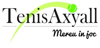 Black Friday 2014 Tenis Axyall