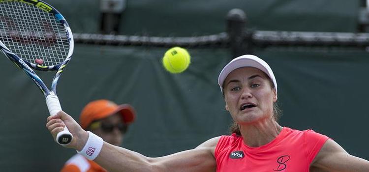 Niculescu şi Gasparyan au dat lovitura