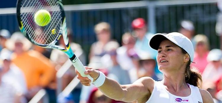 Niculescu este în semifinale la Hobart