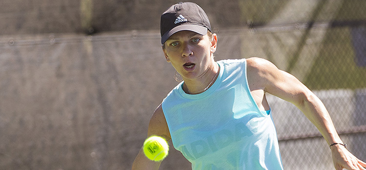 Halep şi Ţig, „la braţ” în turul 2