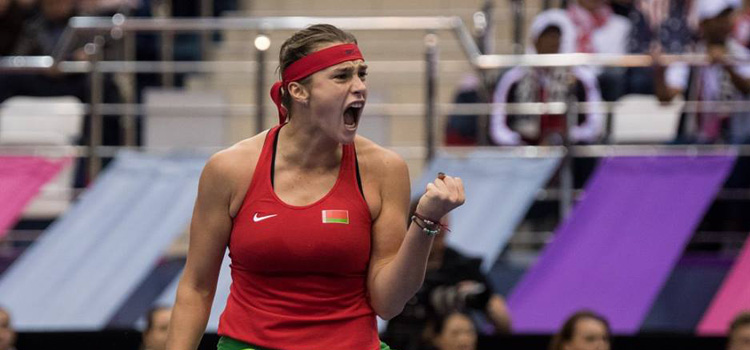 Egalitate în finala Fed Cup după prima zi