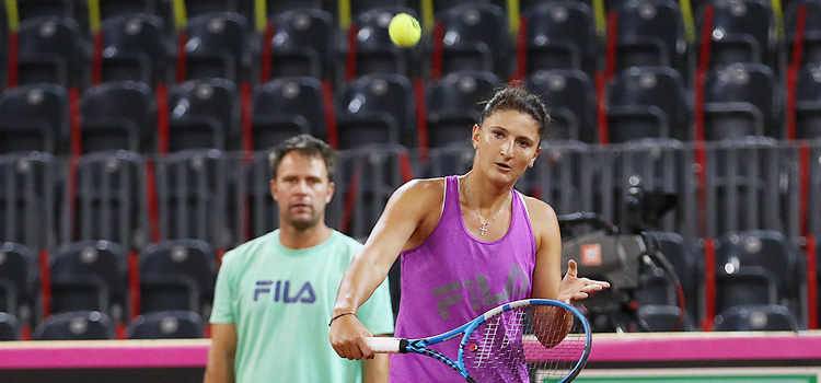 Begu a renunţat la colaborarea cu Apostu Efremov şi Cruciat