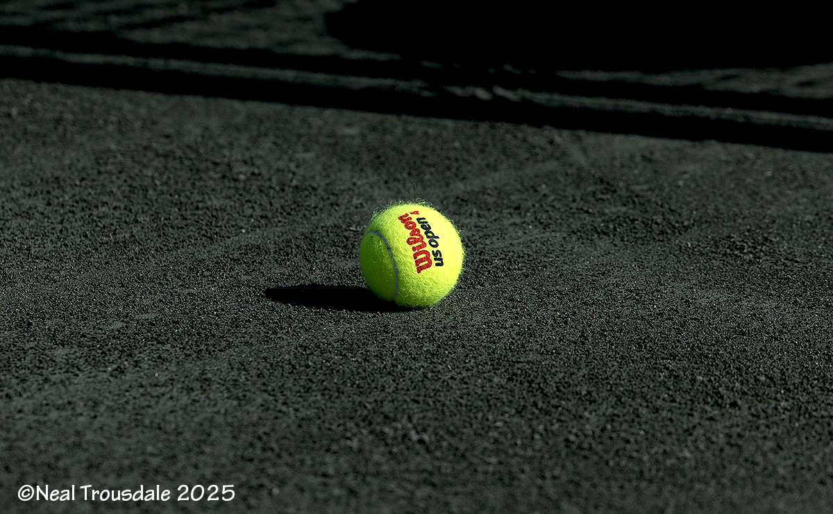 Clasamentele PIF WTA și PIF ATP Single pentru România 2026 